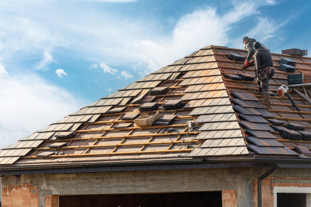 Best Storm Damage Roof Repair  in Capac, MI